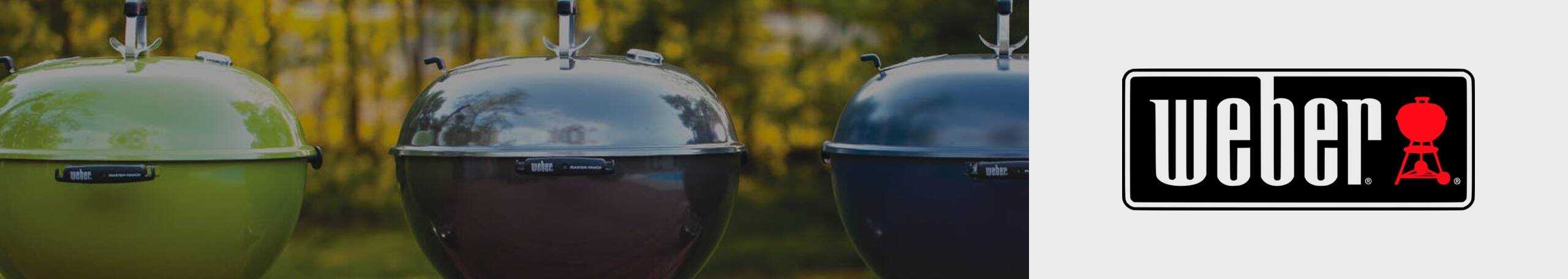 Shop Weber Grills at Horseheads