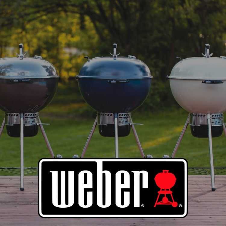 Shop Weber Grills at Horseheads